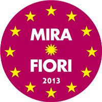 2013.gif