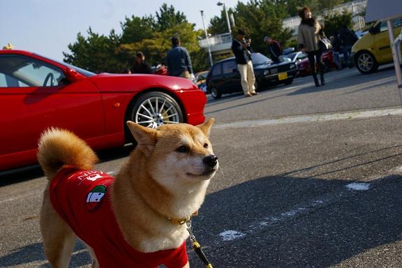 _DSC07671117.jpg