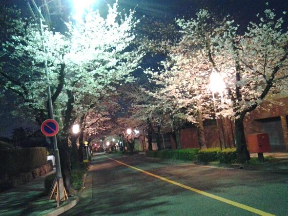 20130328_223435.jpg