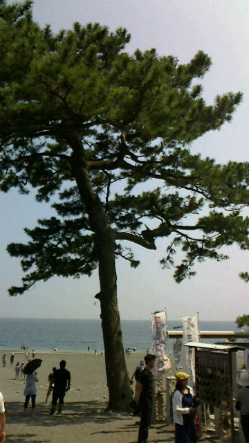 2013081413100000.jpg