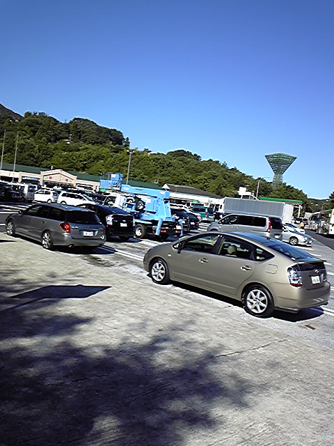 100926_085315.jpg