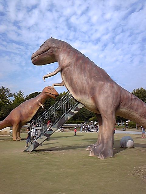 101016_141101.jpg