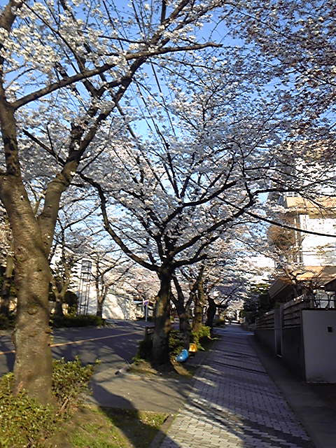 110406_065312.jpg
