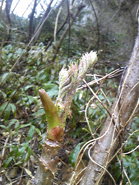 110423_095748.jpg