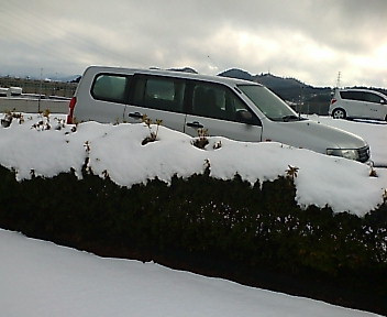 20090113134819.jpg
