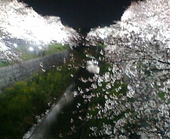 20090402202103.jpg