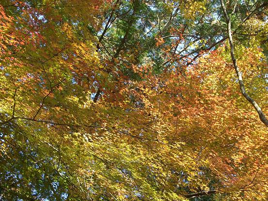 65331618.jpg
