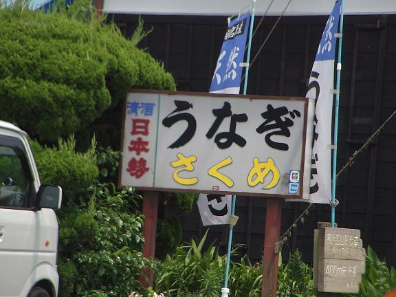 IMGP5539.jpg