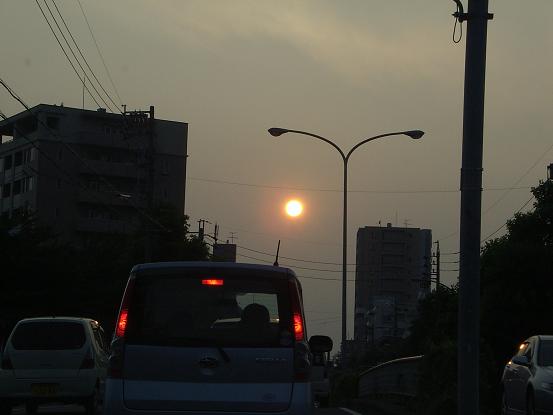 IMGP8061.jpg
