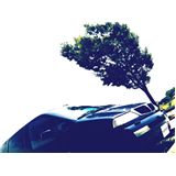 LANCIA Z　です＾＾