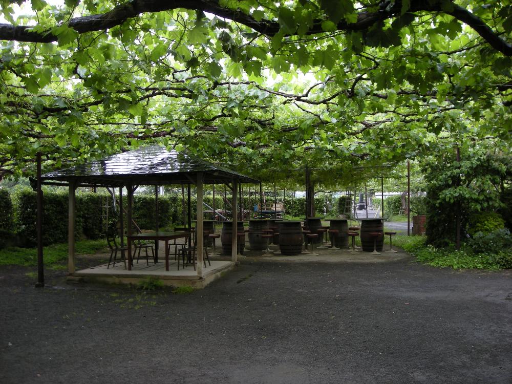 DSCN2783.jpg