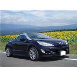 rcz1.jpg