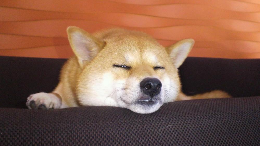 プロフィール3に写真を追加してください。