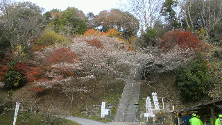 2011112713470000.jpg