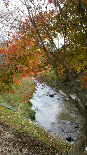 2011112713470001.jpg