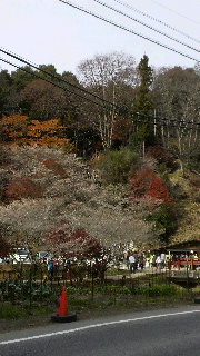 2011112713490000.jpg