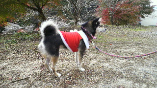 2011112808400000.jpg
