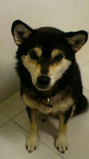 2012012620500000.jpg