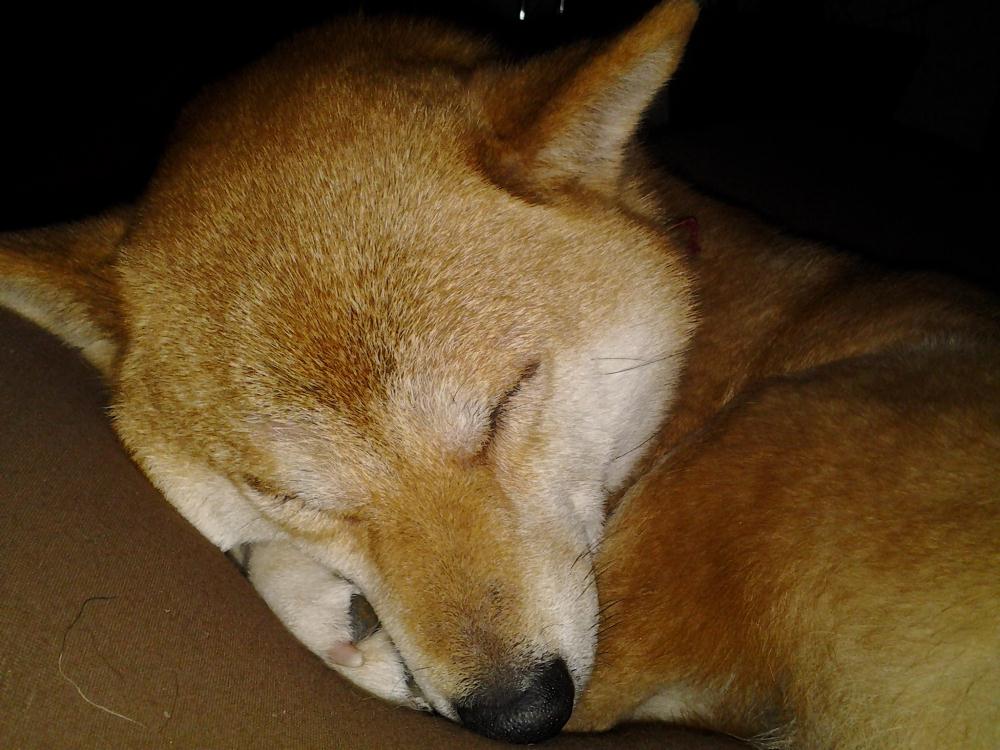 20121223_214448.jpg