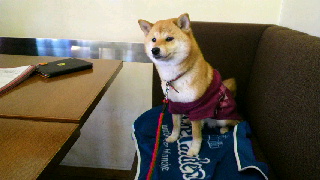 2013021612270001.jpg