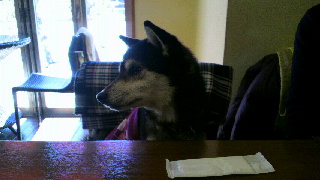 2013021612270002.jpg