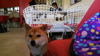 2013051215340000.jpg