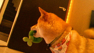 2013051620110000.jpg