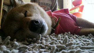 2013051920250000.jpg