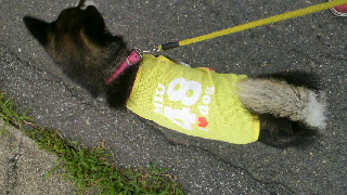2013072818250000.jpg