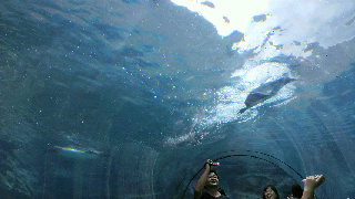 2013080310540001.jpg