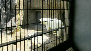 2013080310550000.jpg