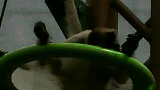 2013080310550002.jpg