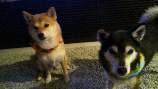 2014081420140001.jpg