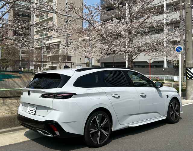 308SW
