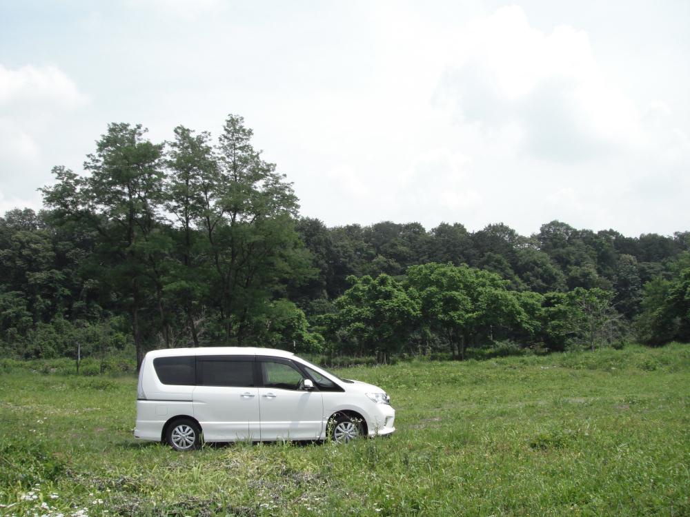 ayu2013kaikin1.jpg