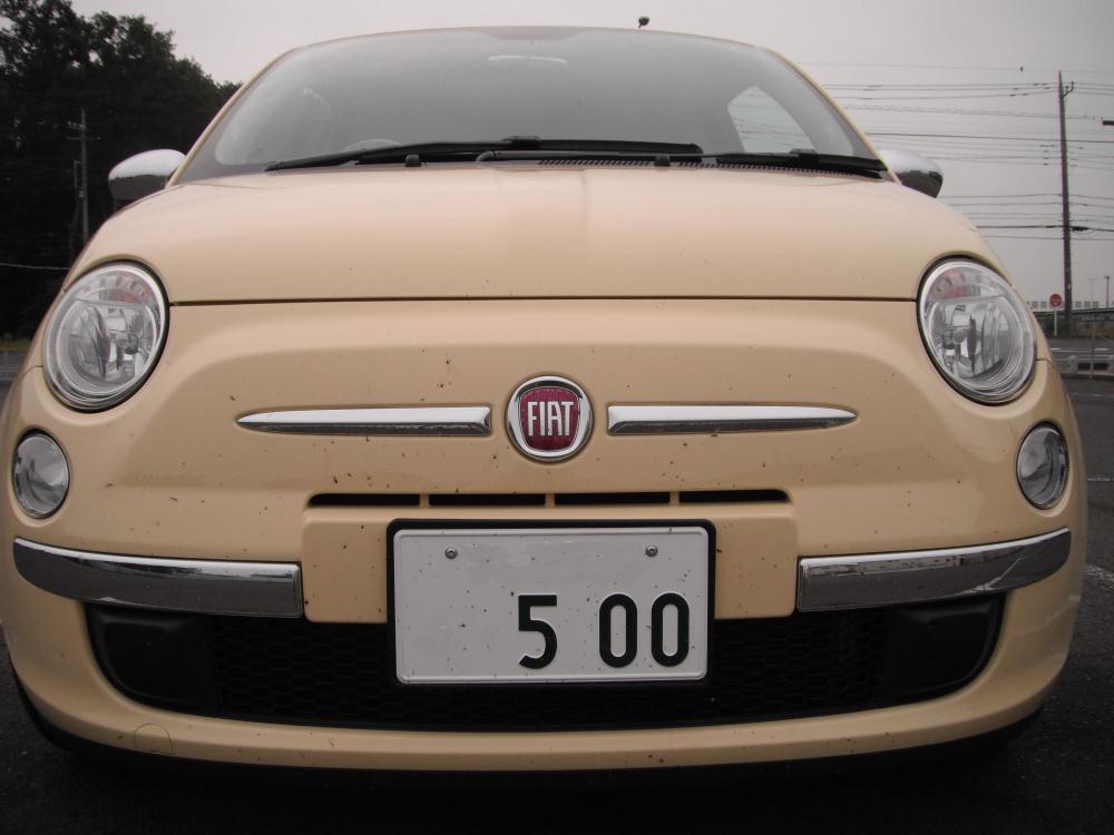 cybeleoff35.jpg