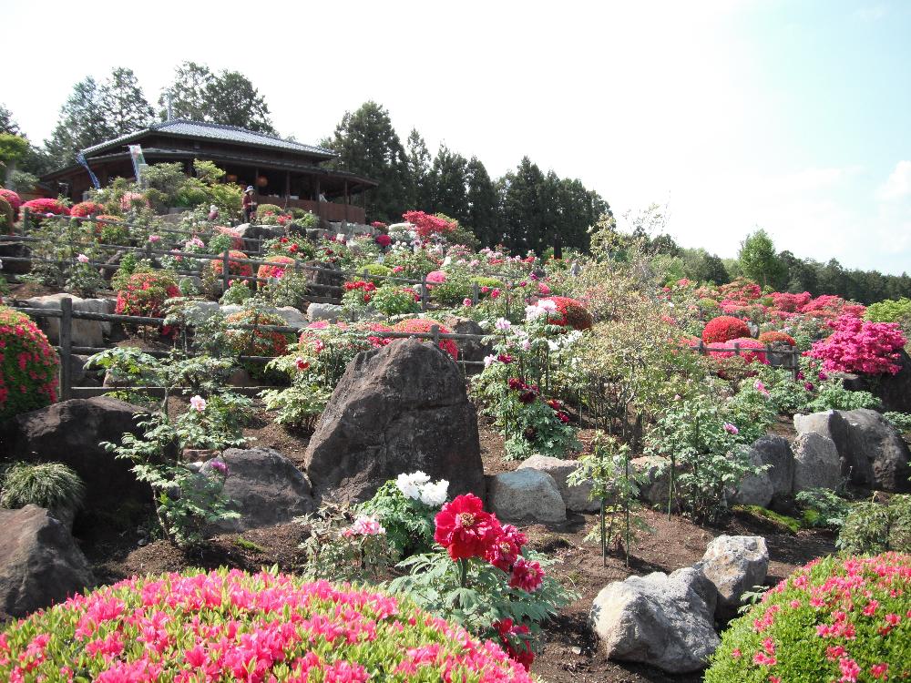 fujibotanen1.jpg