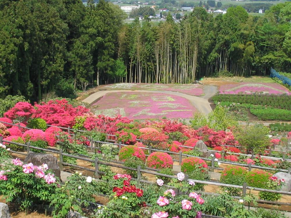 fujibotanen5.jpg