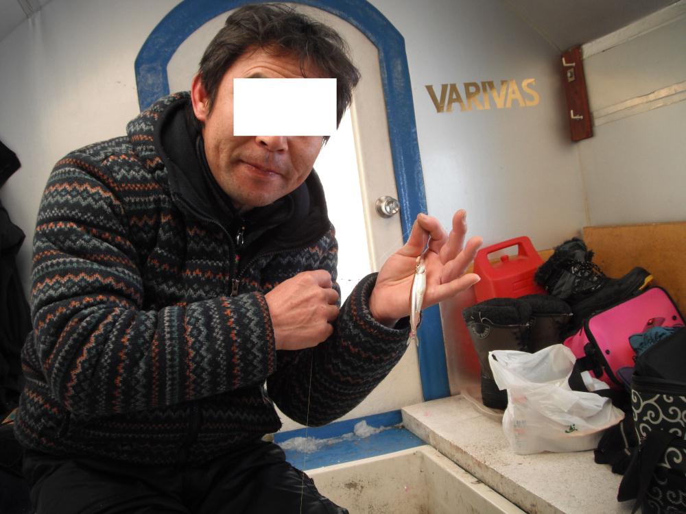 goetsuwaka10.jpg