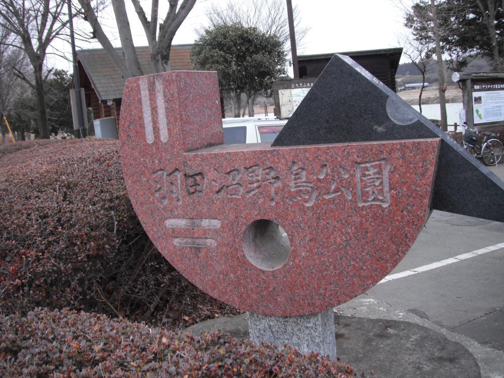 hakucyo1.jpg