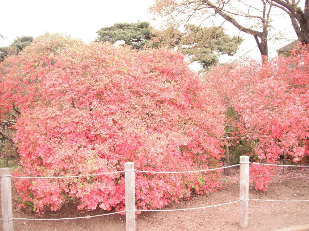 higashigunma4.jpg
