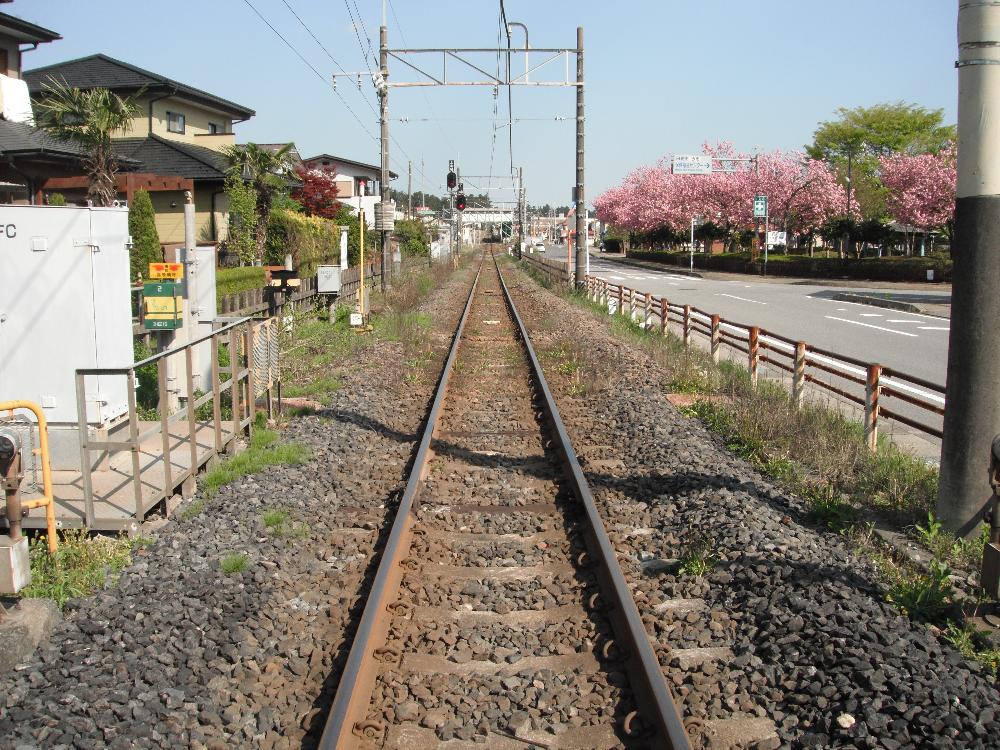 imaichi4.jpg