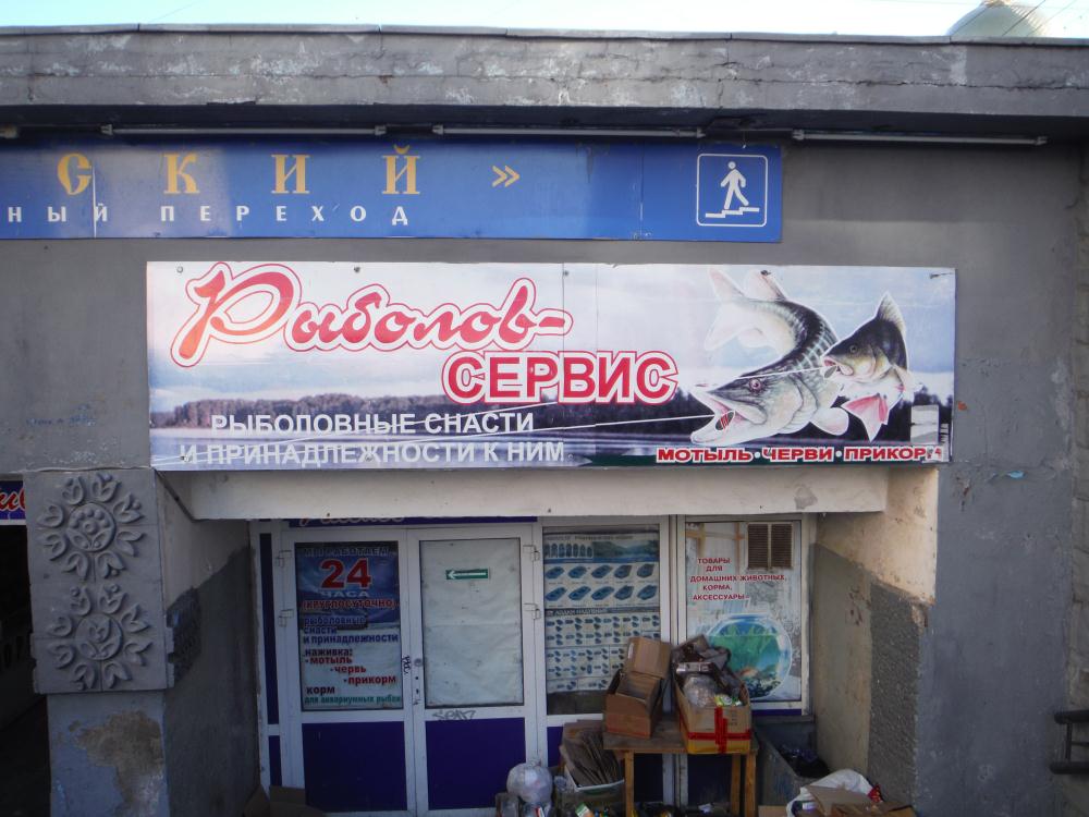 izfish3.jpg