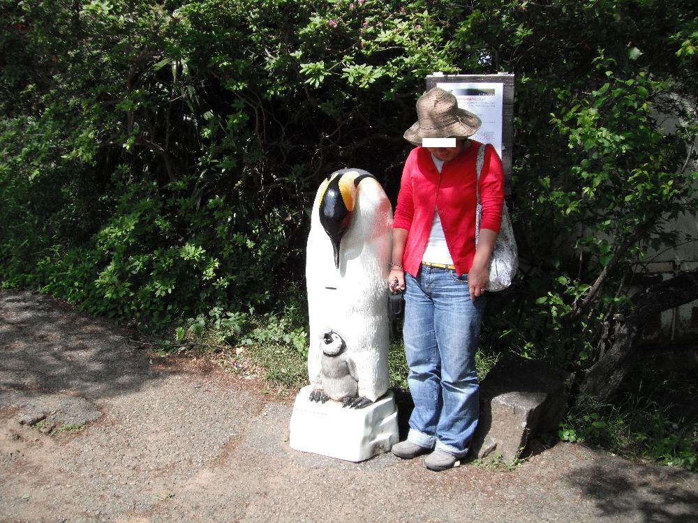 kiryugaokazoo9.jpg