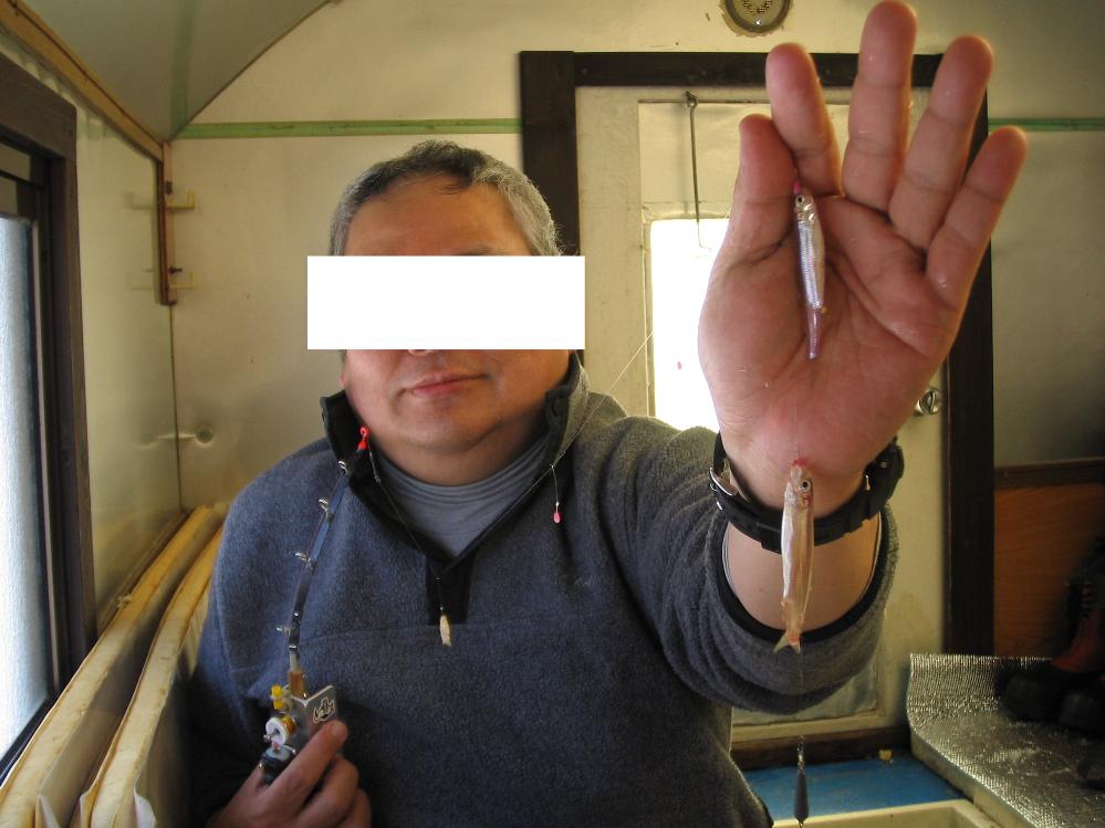 kotakamori19.jpg
