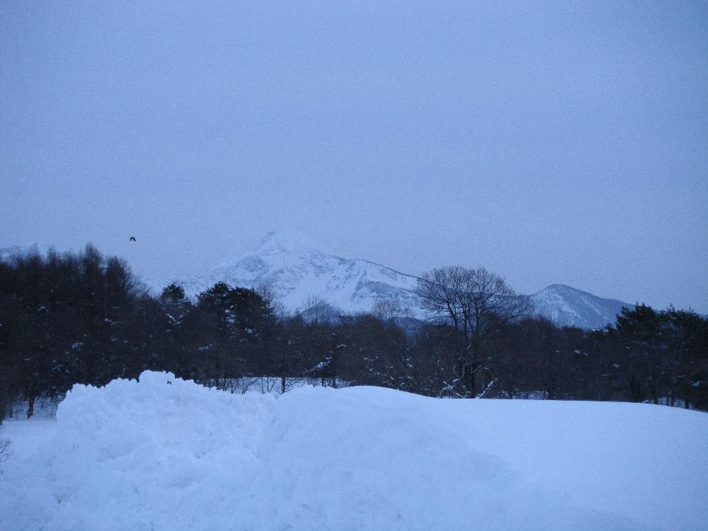 kotakamori22.jpg