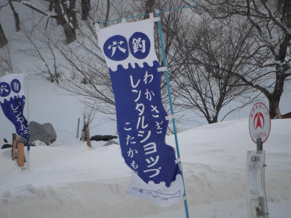 kotakamori23.jpg