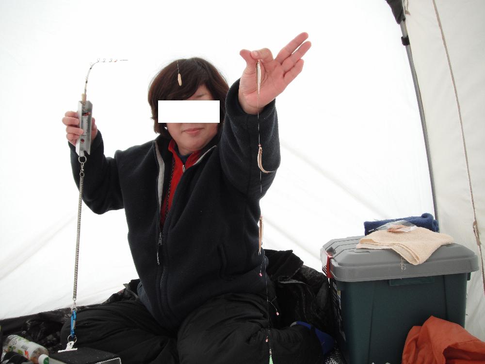 kotakamori28.jpg