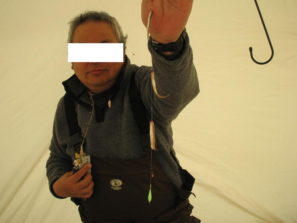 kotakamori29.jpg