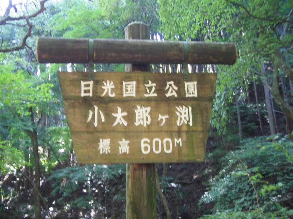 kotarougafuchi1.jpg